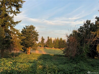 0 234th St E unit 1400957, Graham, WA 98338 - photo 5
