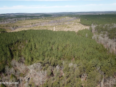 DJI_0267