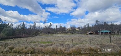 7821,41,51 California 3, Hayfork, CA 96041 - photo 4