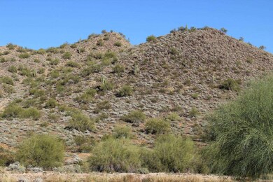 19627 N 15th Place, Phoenix, AZ 85024 - photo 3