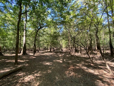 0 Reynolds Rd, Tensaw, AL 36579 - photo 2