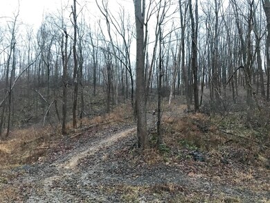 19312 Township Rd 284, Coshocton, OH 43812 - photo 2