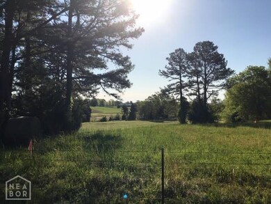 0 County Road 795, Jonesboro, AR 72401 - photo 6