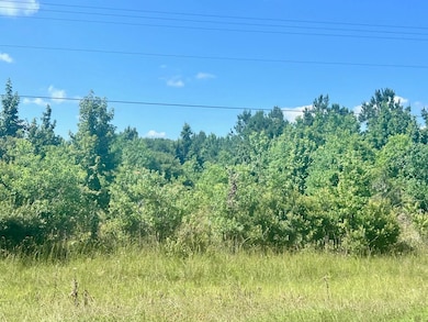 0 Fm 82 W unit 258732, Kirbyville, TX 75951 - photo 5