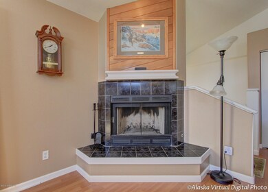 Shane fireplace