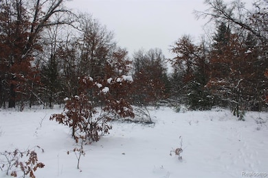 VL S Good Rd, Alger, MI 48610 - photo 3