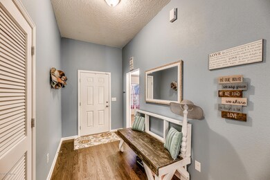 15384 Bareback Dr-3133