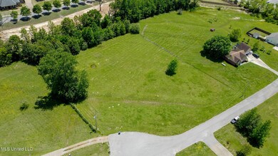 DJI_0520