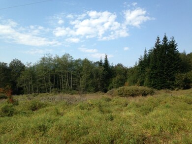 0 Center Rd unit 832903, Quilcene, WA 98376 - photo 3