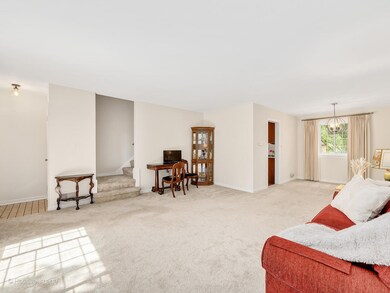 133 Fellows Ct, Elmhurst, IL 60126 - photo 4