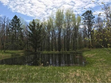 Small pond