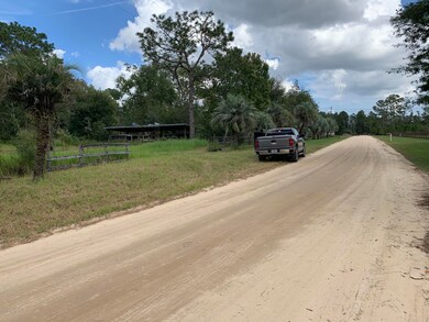 3898 Darlene Rd, Middleburg, FL 32068 - photo 5