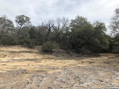 10108 Nina Ridge, San Antonio, TX 78255 - photo 2