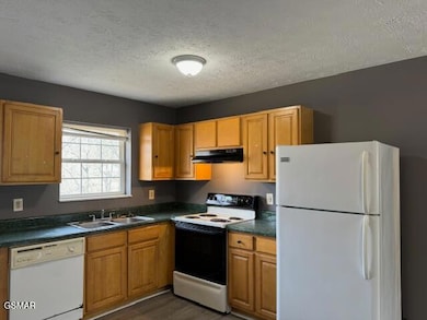 238 Gray Slate Cir, Sevierville, TN 37876 - photo 3