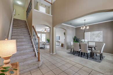 24011 Buckthorn Pass, San Antonio, TX 78261 - photo 5