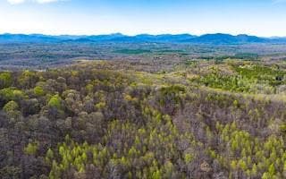 Aerial view with a forest view and a mountain view