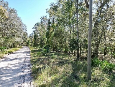 Vac Se Suwannee Ave, Branford, FL 32066 - photo 6