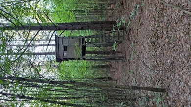 Lot 21 Airport Rd (Pca), Rockwood, TN 37854 - photo 6