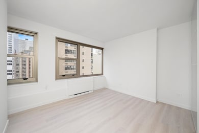 247 E Chestnut St unit 2004, Chicago, IL 60611 - photo 6