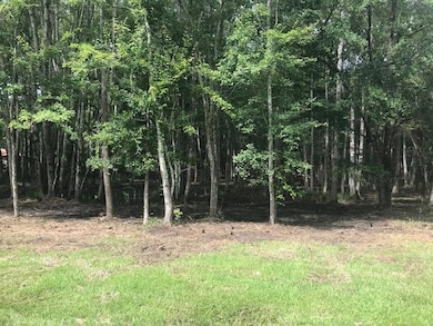 1455 Tannanger Trail, Awendaw, SC 29429 - photo 2