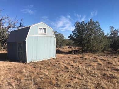 9605 W Big Moon Ln, Ash Fork, AZ 86320 - photo 2