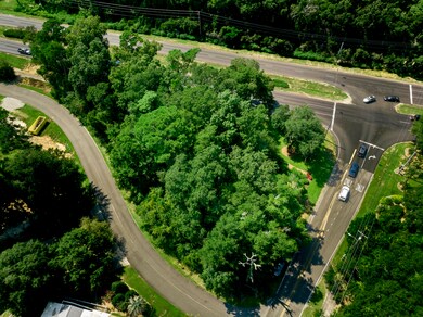 Cayman Loop Aerial (1 of 4)