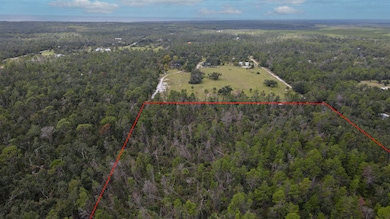 TBD Strickland Landing Dr, Perry, FL 32348 - photo 6