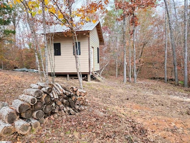 0 Sulpher Springs Rd, Waterloo, SC 29384 - photo 3