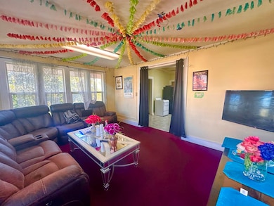 256 W Downer Place, Aurora, IL 60506 - photo 4