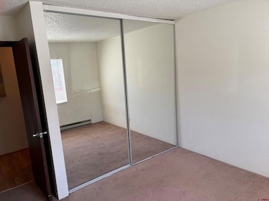 34237 U S 550 unit 12, Durango, CO 81301 - photo 5