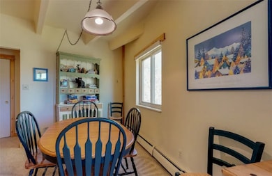 370 E La Bonte St unit 101, Dillon, CO 80435 - photo 7