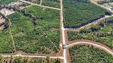 625 Trinity Trail, Lovelady, TX 75851 - photo 7