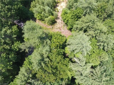 795 Wagon Ridge Ln, Ferguson, NC 28624 - photo 3