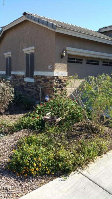 Natural Front Yard Foilage
