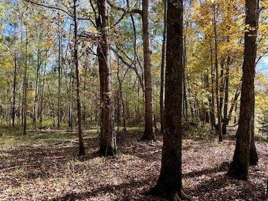 Highway 50, Cedar Bluff, MS 39773 - photo 5
