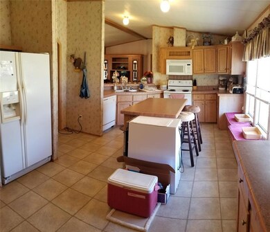 259 Big Salty Ln, Springtown, TX 76082 - photo 5