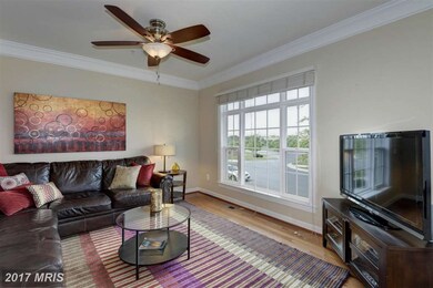 23363 Arora Hills Dr, Clarksburg, MD 20871 - photo 3