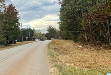 0 County Road 65 unit 1 21378497, Roanoke, AL 36274 - photo 2