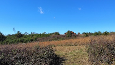 dji_fly_20241111_111412_604_173134185079