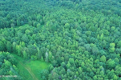 DJI_0593