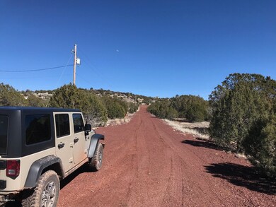 1201 County Line Cir, Ash Fork, AZ 86320 - photo 4