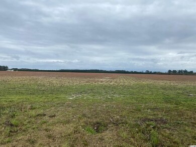 TBD Persimmon Rd unit Lot 7, Aynor, SC 29511 - photo 3