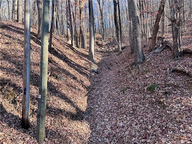 3381 Bella Vista Trail, Jasper, GA 30143 - photo 3