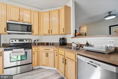 22641 Blue Elder Terrace unit 302, Ashburn, VA 20148 - photo 3