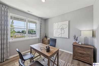 186 Saratoga Ln, Elizabethtown, KY 42701 - photo 4