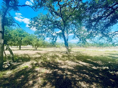 233 Towhead Valley Rd, Johnson City, TX 78636 - photo 5