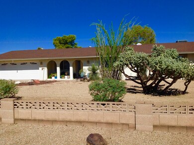 Low maintenance yard