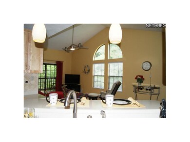 Great room view from kitchen, vaulted ceiling