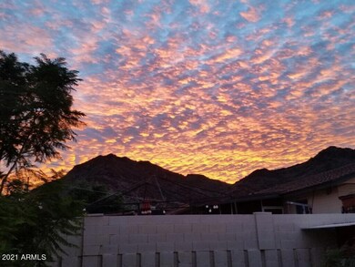Backyard Sunsets