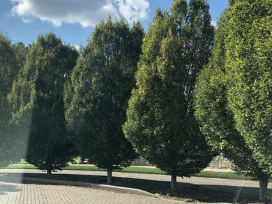 701 Halcyon Way, Columbia, TN 38401 - photo 7